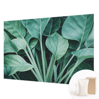 High quality wall mural wallpaper with a green nature design