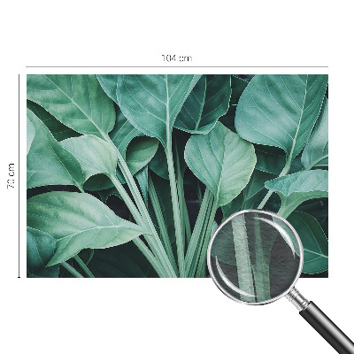 High quality wall mural wallpaper Green nature