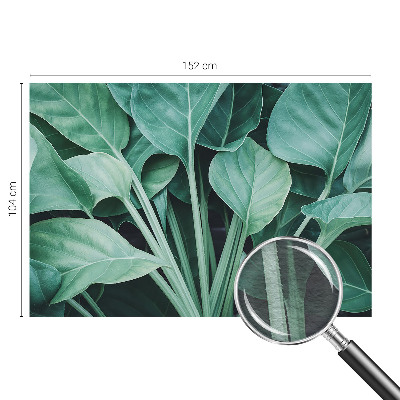 High quality wall mural wallpaper Green nature