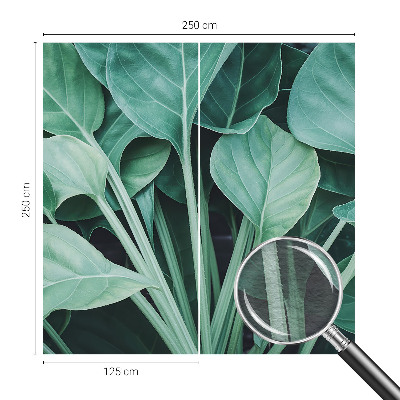 High quality wall mural wallpaper Green nature