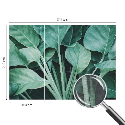 High quality wall mural wallpaper with a green nature design