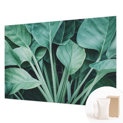 High quality wall mural wallpaper with a green nature design
