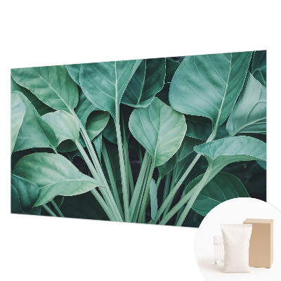 High quality wall mural wallpaper with a green nature design