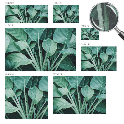 High quality wall mural wallpaper with a green nature design