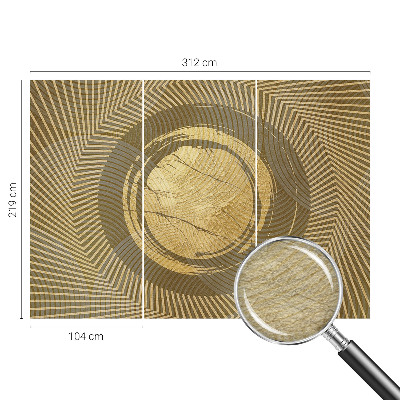 Photo wall mural with radiating lines design