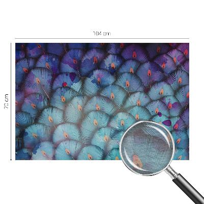 Custom size wall mural with a colorful feathers design