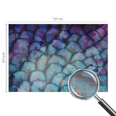 Custom size wall mural with a colorful feathers design
