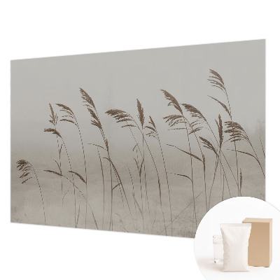 Non-woven wall mural Grasses in the fog