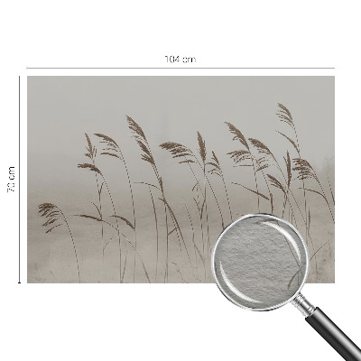 Non-woven wall mural with a grasses-in-fog motif