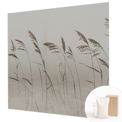 Non-woven wall mural Grasses in the fog