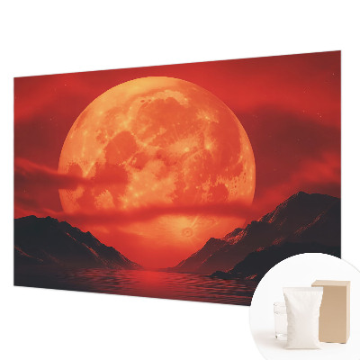 Large wall mural featuring a nighttime phenomenon