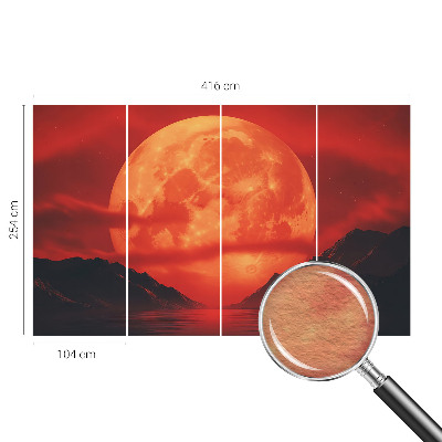Large wall mural Nighttime phenomenon
