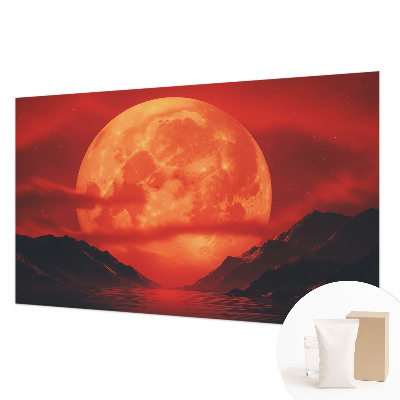 Large wall mural featuring a nighttime phenomenon