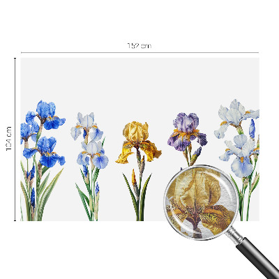 Wallpaper mural Iris flowers