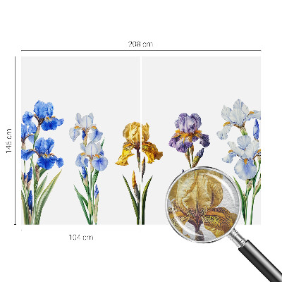 Wallpaper mural Iris flowers