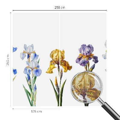 Wallpaper mural Iris flowers