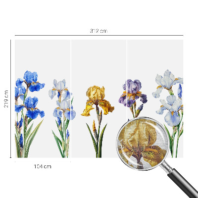 Wallpaper mural Iris flowers