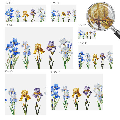 Wallpaper mural Iris flowers