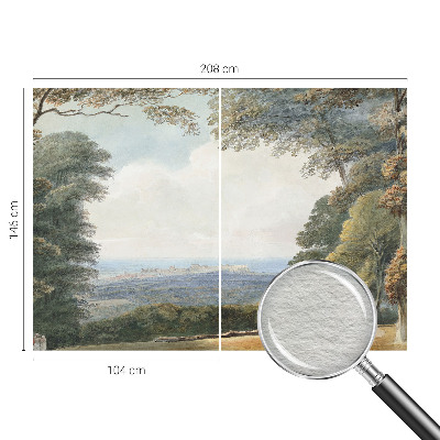 Large wallpaper mural Wooded landscape