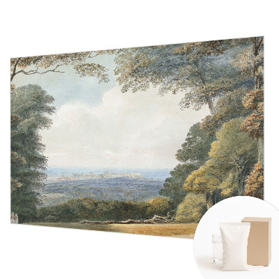 Large wallpaper mural Wooded landscape