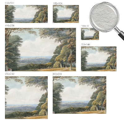 Large wallpaper mural Wooded landscape