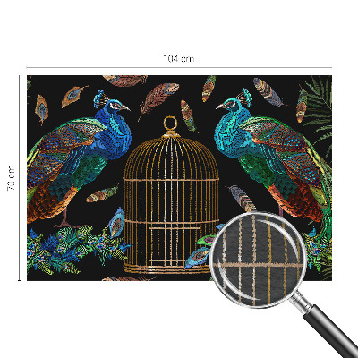 Large wall mural wallpaper featuring a peacock image