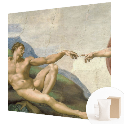 Non-woven wall mural with a spiritual contact motif