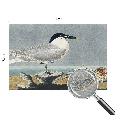 Modern wall mural for bedroom with an ornithological elegance theme