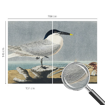 Modern wall mural for bedroom with an ornithological elegance theme