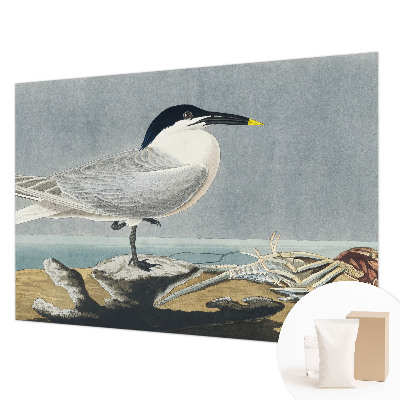 Modern wall mural for bedroom with an ornithological elegance theme