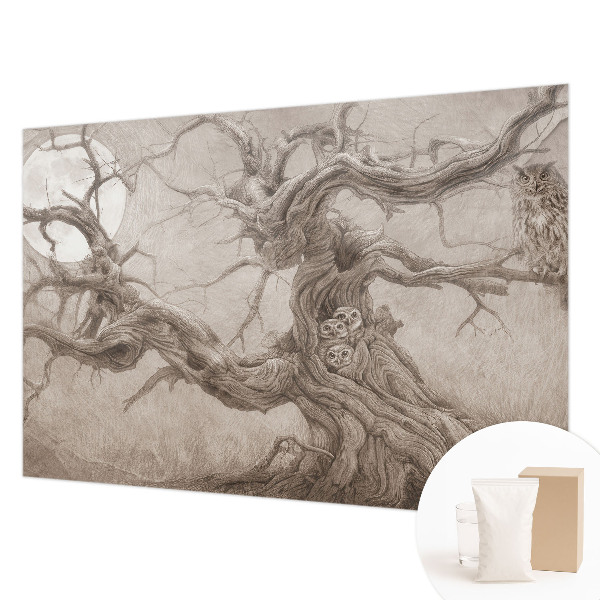 Wall mural for bedroom with a night birds design