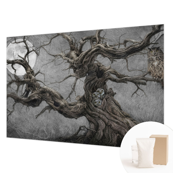 Premium photo wallpaper with a mysterious owl motif