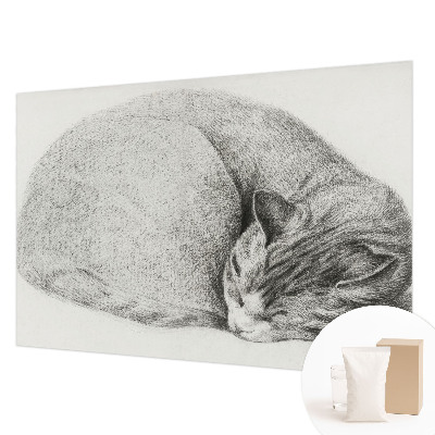 Non-woven photo wallpaper Curled up cat