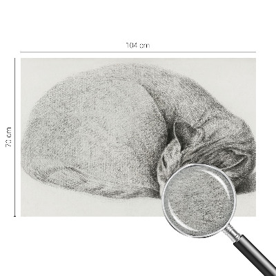 Non-woven photo wallpaper with a curled-up cat motif