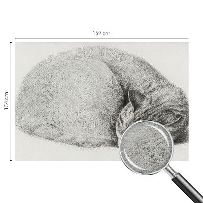 Non-woven photo wallpaper with a curled-up cat motif