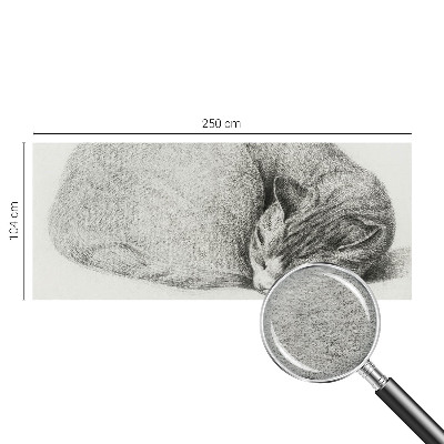 Non-woven photo wallpaper Curled up cat