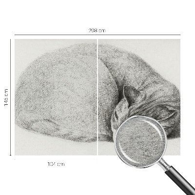 Non-woven photo wallpaper with a curled-up cat motif