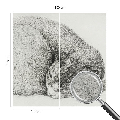Non-woven photo wallpaper with a curled-up cat motif