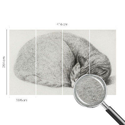 Non-woven photo wallpaper with a curled-up cat motif