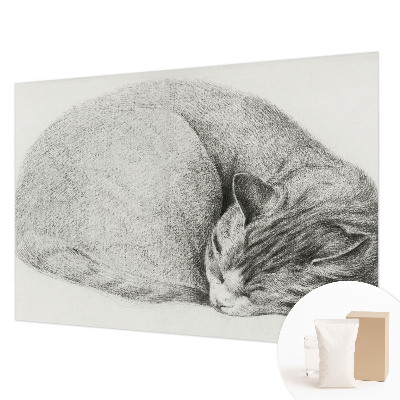 Non-woven photo wallpaper with a curled-up cat motif
