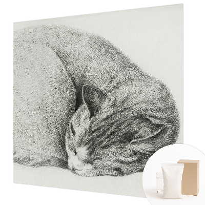 Non-woven photo wallpaper with a curled-up cat motif