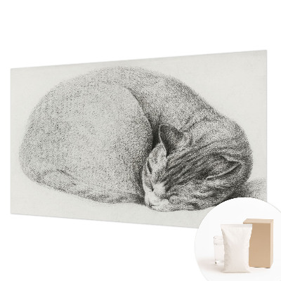 Non-woven photo wallpaper with a curled-up cat motif
