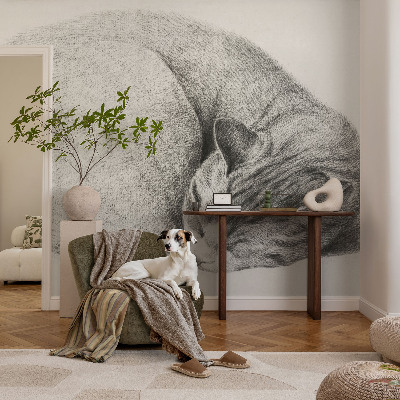 Non-woven photo wallpaper Curled up cat
