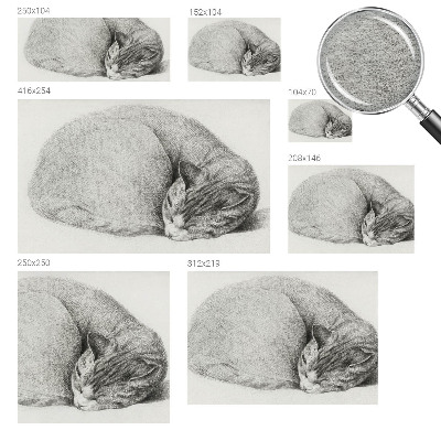 Non-woven photo wallpaper with a curled-up cat motif