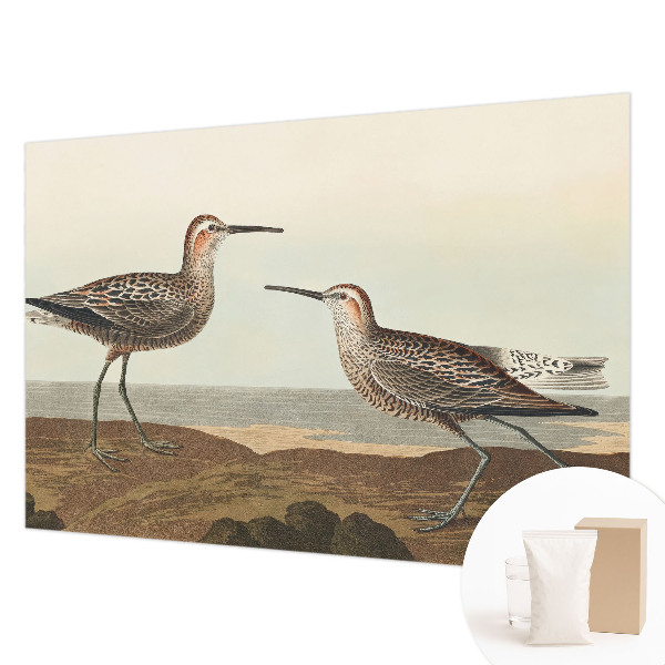 Modern wall mural for living room Bird silhouettes