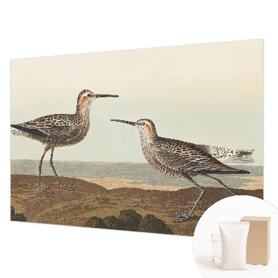 Modern wall mural for living room featuring bird silhouettes