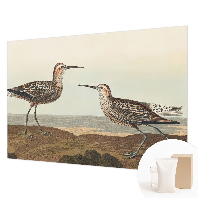 Modern wall mural for living room Bird silhouettes
