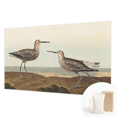 Modern wall mural for living room Bird silhouettes