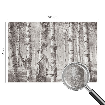 Photo wallpaper Birch forest