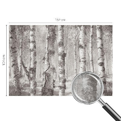 Photo wallpaper with a birch forest motif